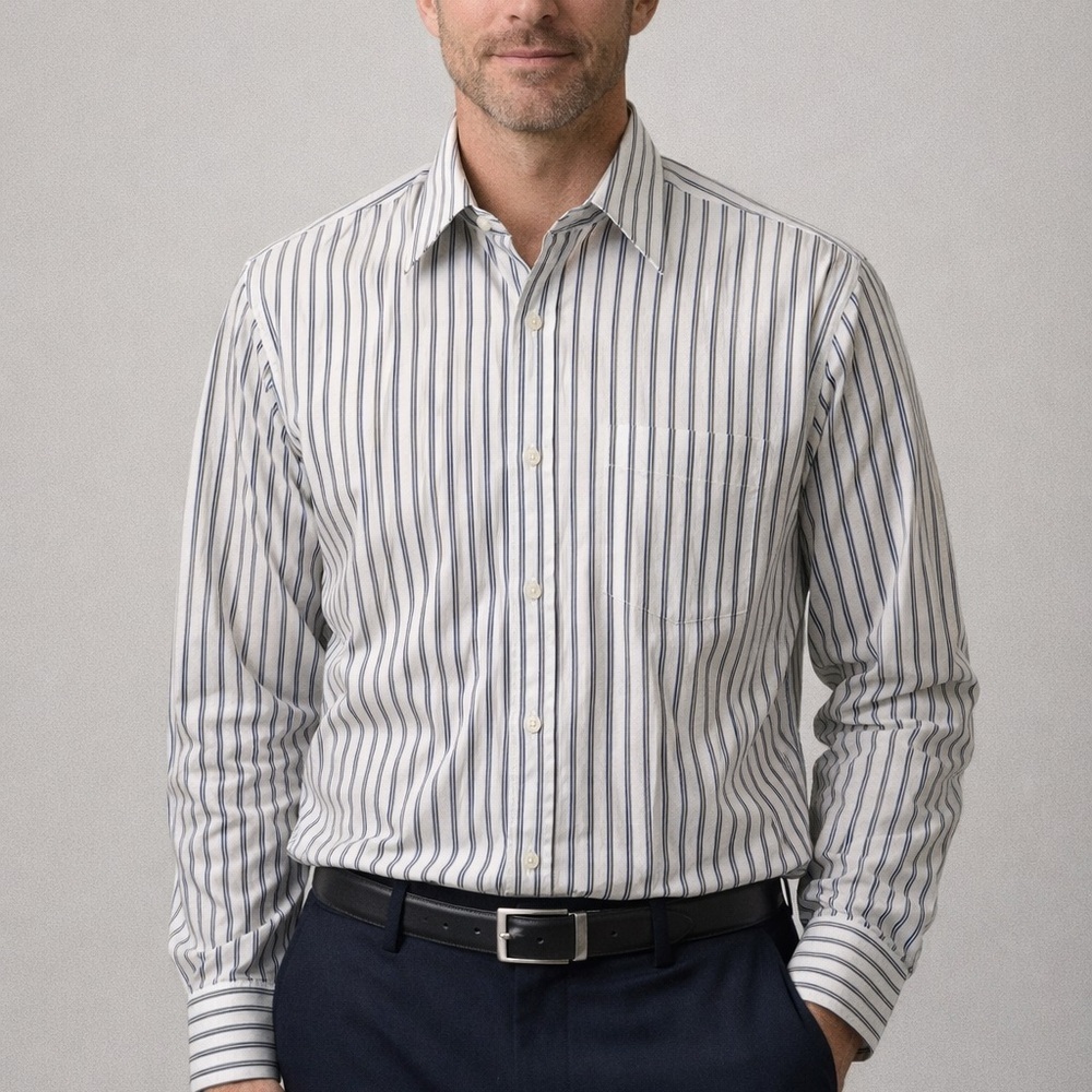 ✨Arrow Kent Men's Striped Dress Shirt in Blue and White